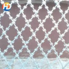 Ordinary Barbed Wire