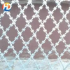 Blade Barbed WireBarbed Wire Roll