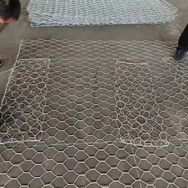 Gabion Mesh